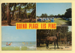 80. QUEND-PLAGE-LES-PINS –  Multivues (animée)(voir Scan Recto/verso) - Quend