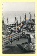 80. LE-CROTOY - Le Port De Pêche (animée) CPSM (bateaux) - Le Crotoy