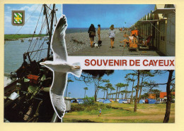 80. CAYEUX-SUR-MER – Multivues – Blason – Mouette (animée)(voir Scan Recto/verso) - Cayeux Sur Mer