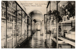 Ecole Nationale Vétérinaire. Autre Vue Du Musée - Maisons Alfort