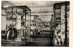 Ecole Nationale Vétérinaire. Un Coin Du Musée - Maisons Alfort