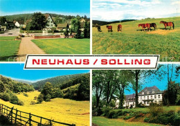 73306625 Neuhaus Solling Teilansichten Trakehner Neuhaus Solling - Holzminden