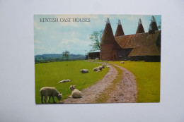 écrite De Hythe  -  Kent  -  Kentish Oast Houses  -  Sèchoir à Houblon  -  Angleterre - Autres & Non Classés