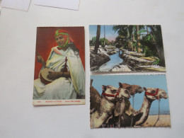 SCENES Et TYPES - Lot De 3 Cartes - Scenes