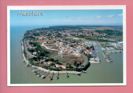 17 - MESCHERS . VUE AÉRIENNE DU PORT ET DES FALAISES AVEC LES CARRELETS - Réf. N°12955 - - Meschers