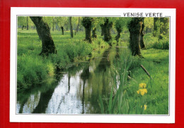 79 - MARAIS POITEVIN . VENISE VERTE . POINT DE VUE SUR UNE SOURCE - Réf. N°12956 - - Altri & Non Classificati