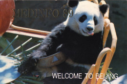 China - Panda In Beijing Zoo, MEDINFO 89, Organizing Committee Gift Postcard - Bären