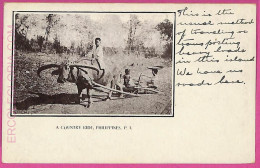 Ag3572 -  Philippines - VINTAGE POSTCARD  - Ethnic, A Country Ride - Filippine