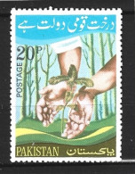 PAKISTAN. N°365 De 1974. Reboisement. - Árboles