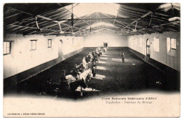 Ecole Nationale Vétérinaire. Equitation. Intérieur Du Manège - Maisons Alfort