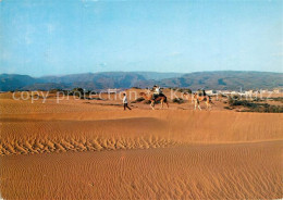 73302502 Maspalomas Dunas Duenenlandschaft Kamele Maspalomas - Sonstige & Ohne Zuordnung