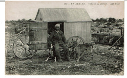 EN BEAUCE  -  Cabane De Berger - Viehzucht