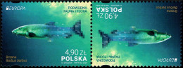 Poland 2024 Fi 5376 Mi 5526 Tête-bêche 1 Europa - Unused Stamps