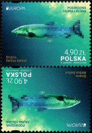 Poland 2024 Fi 5376 Mi 5526 Tête-bêche 3 Europa - Unused Stamps