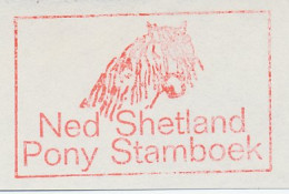 Meter Cut Netherlands 1976 Dutch Shetland Pony Studbook - Horse - Paardensport