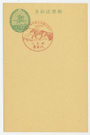 Postcard / Postmark Japan Horse Race - Horses