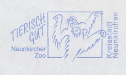 Meter Cover Germany 2004 Monkey - Orang Utan - Zoo Neunkirchen - Other & Unclassified