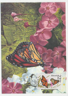 Maximum Card USA 1987 Monarch Butterfly - Otros & Sin Clasificación