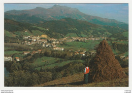 Navarra Navarre VERA DE BIDASOA N°51 Vue Panoramique Postée De Dax En 1987 - Navarra (Pamplona)