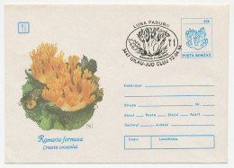 Postal Stationery Romania 1994 Mushroom - Funghi