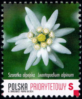Poland 2024 Fi 5377 Mi 5527 Protected Plants - Unused Stamps