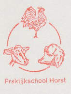 Meter Cut Netherlands 1987 Cow - Sheep - Cock - Rooster - Granjas