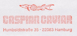 Meter Cut Germany 1995 Sturgeon - Caspian Caviar - Fische