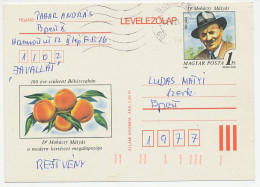 Postal Stationery Hungary 1984 Peach - Fruit