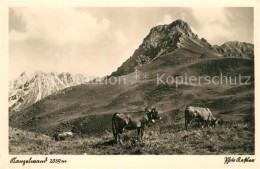 73300426 Kanzelwand Almwiesen Almvieh Kuehe Landschaftspanorama Allgaeuer Alpen  - Oberstdorf
