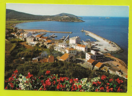 Haute Corse MACINAGGIO Vers Rogliano Bastia N°141 Vue Générale Port Phare Du Feu Dans Un Jardin - Bastia