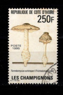 - COTE D'IVOIRE - 1995 -YT N° 953 - Oblitéré - Champignon - Côte D'Ivoire (1960-...)