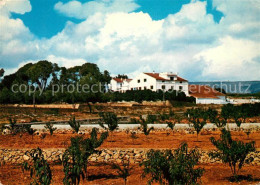 73299248 Valencia Valenciana Casa Del Mas Canals Plantage Valencia Valenciana - Sonstige & Ohne Zuordnung