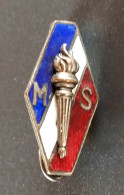 WW2 Insigne De Boutonnière "Mouvement Social" WWII - 1939-45