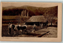 39153207 - Des Landmannes Feldarbeit Landwirtschaft Im Schwarzwald  Pflug Tiergespann Verlag Elchlepp   AK - Vaches