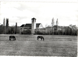 CPSM 65 * Abbaye Notre Dame De Tournay Vue Générale Vers 1960. - Tournay