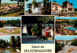 73298118 Salsomaggiore Panorama Teilansichten Park Schwanenteich Brunnen Salsoma - Other & Unclassified