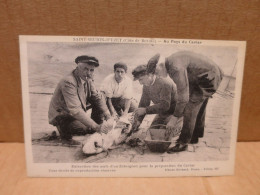 SAINT SEURIN D'UZET (17) Au Pays Du Caviar Peche à L'Esturgeon Extraction Des Oeufs - Andere & Zonder Classificatie