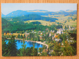 ALLEMAGNE  Titisee 860 M D'haltitude Environs, 2 Km De Long, 950 M De Large, 54 M De Profondeur - Other & Unclassified