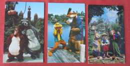 Lot Of 3 Cards > Disneyworld     Ref 6405 - Disneyworld