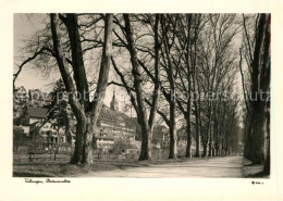 73297052 Tuebingen Platanenallee  Tuebingen - Tuebingen