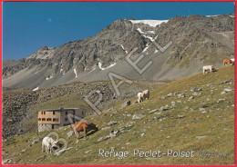 Pralognan-la-Vanoise (73) - Refuge De Peclet Polset - Parc National De La Vanoise - Pralognan-la-Vanoise