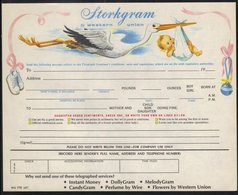 CIGOGNE - NAISSANCE - CHAUSSURES - JOUETS  ETC / 1967 USA TELEGRAMME DE LUXE ILLUSTRE (ref WU14) - Storchenvögel