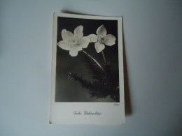 GERMANY   POSTCARDS  GREETING FLOWERS    MORE  PURHASES 10% DISCOUNT - Autres & Non Classés