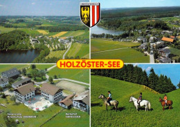 1 AK Österreich / Oberösterreich * Blick Auf Franking - Holzöster Am See - Im Innviertel  Luftbildaufnahme * - Andere & Zonder Classificatie