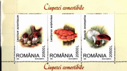 Roumanie 2003 Mushroom / Champignons MNH - Pilze