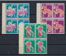 ● ALBANIA 1961 ֍ Fiori ֍ N.° 633/35 Nuovi ** X 4 ● Ciclamini Forsizia Giglio ● Cat. 72,00 € ● Lotto N. 321 ● - Albanië