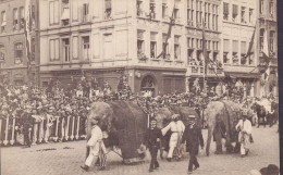 Belgium PPC Antwerpen 1923 Cortége Des Bijoux Inde - Les éléphants Elefanten (2 Scans) - Other & Unclassified