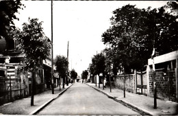 Houilles (Seine Et Oise > Yvelines) Rue Carnot - Houilles