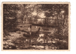 Erezée (Ardennes) - Passerelle Sur L'Aisne - Erezee