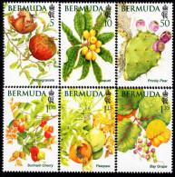 Bermuda - 2024 - Bermuda Fruits - Mint Stamp Set - Bermudes